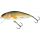 Salmo PERCH FLOATING - 12cm Real Roach
