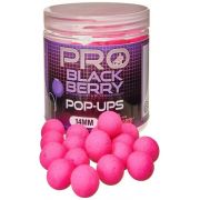POP-UP BOILIES
