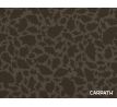 Delphin Area EASY Carpath
