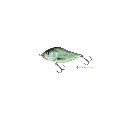 Salmo Slider 10 HGS