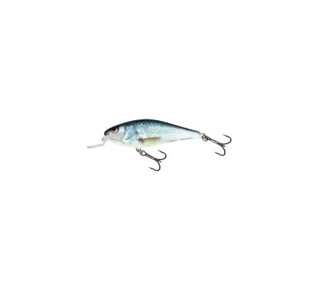 Salmo Executor 7 SR RDE