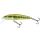 Salmo Minnow 7 MIN