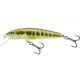 Salmo Minnow 7 MIN