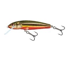 Salmo Minnow 5 RBD