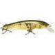 Salmo Minnow 5 WOD