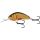 Salmo New Hornet 9 Golden Crucian