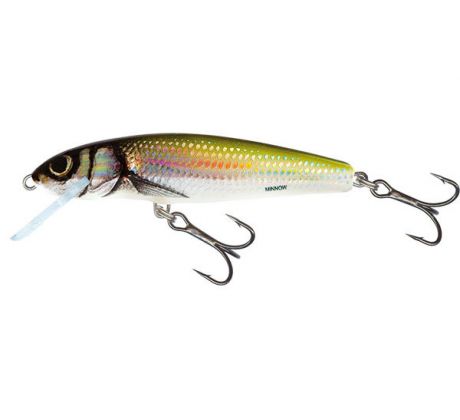 Salmo MINNOW FLOATING - 5cm HB