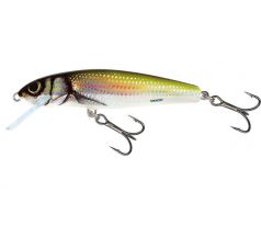 Salmo MINNOW SINKING - 5cm HB