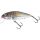 Salmo PERCH FLOATING - 8cm Holo Grey Shiner