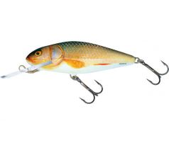 Salmo PERCH DEEP RUNNER - 8cm Real Roach