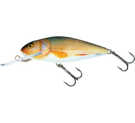 Salmo PERCH DEEP RUNNER - 8cm Real Roach