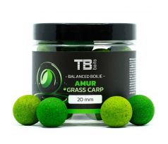 TB Baits Vyvážené Boilie Balanced + Atraktor Amur 100 g 20 mm