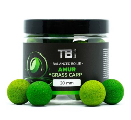 TB Baits Vyvážené Boilie Balanced + Atraktor Amur 100 g 20 mm