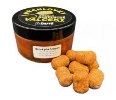 A baits Rýchlovky valčeky