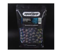 Squatcarp Active Boilies ANCHOVY+