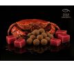 Boilies Delphin BreaX / MonstaFISH