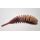 Trout Delirium Tanta 6cm 3,3g 8ks