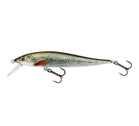 WESTIN Jerkbite SR Jerkbait Suspending 9 cm 8 g Real Roach