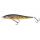 WESTIN Jerkbite SR Floating Real Roach 13,5 cm 22 g