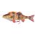 Savage Gear 4D Line Thru Perch SS 17cm