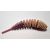 Trout Delirium Tanta 6cm 3,3g 8ks