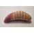 Trout Delirium BUFFALO 40mm 3,85g